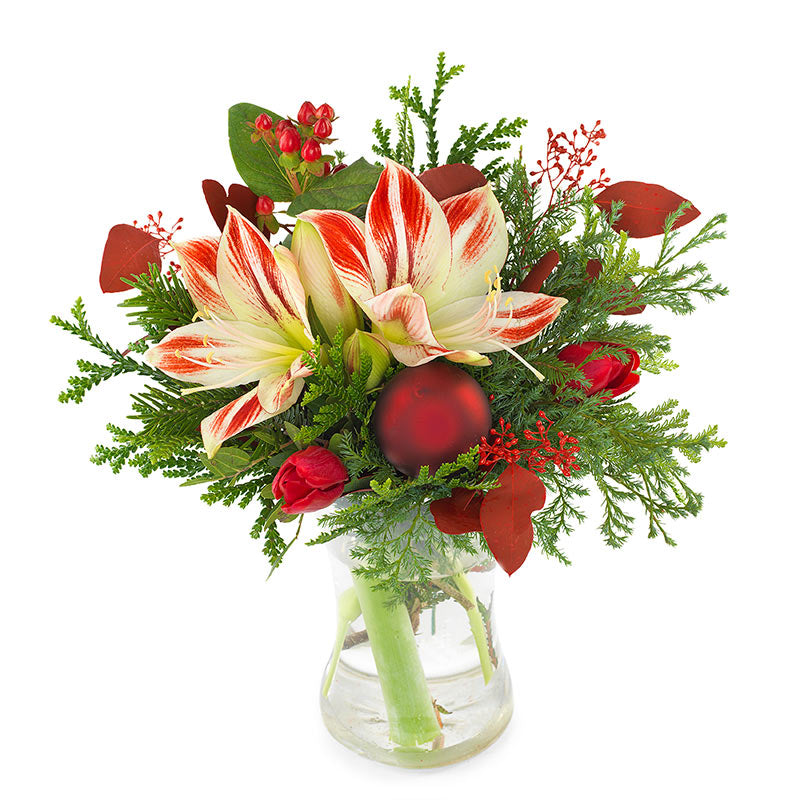 Amaryllis