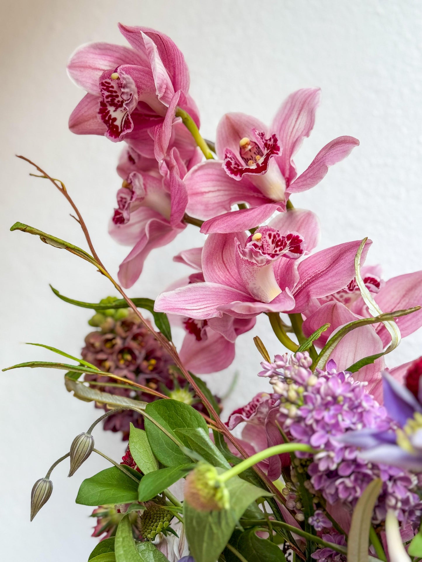 Cyril Bouquet