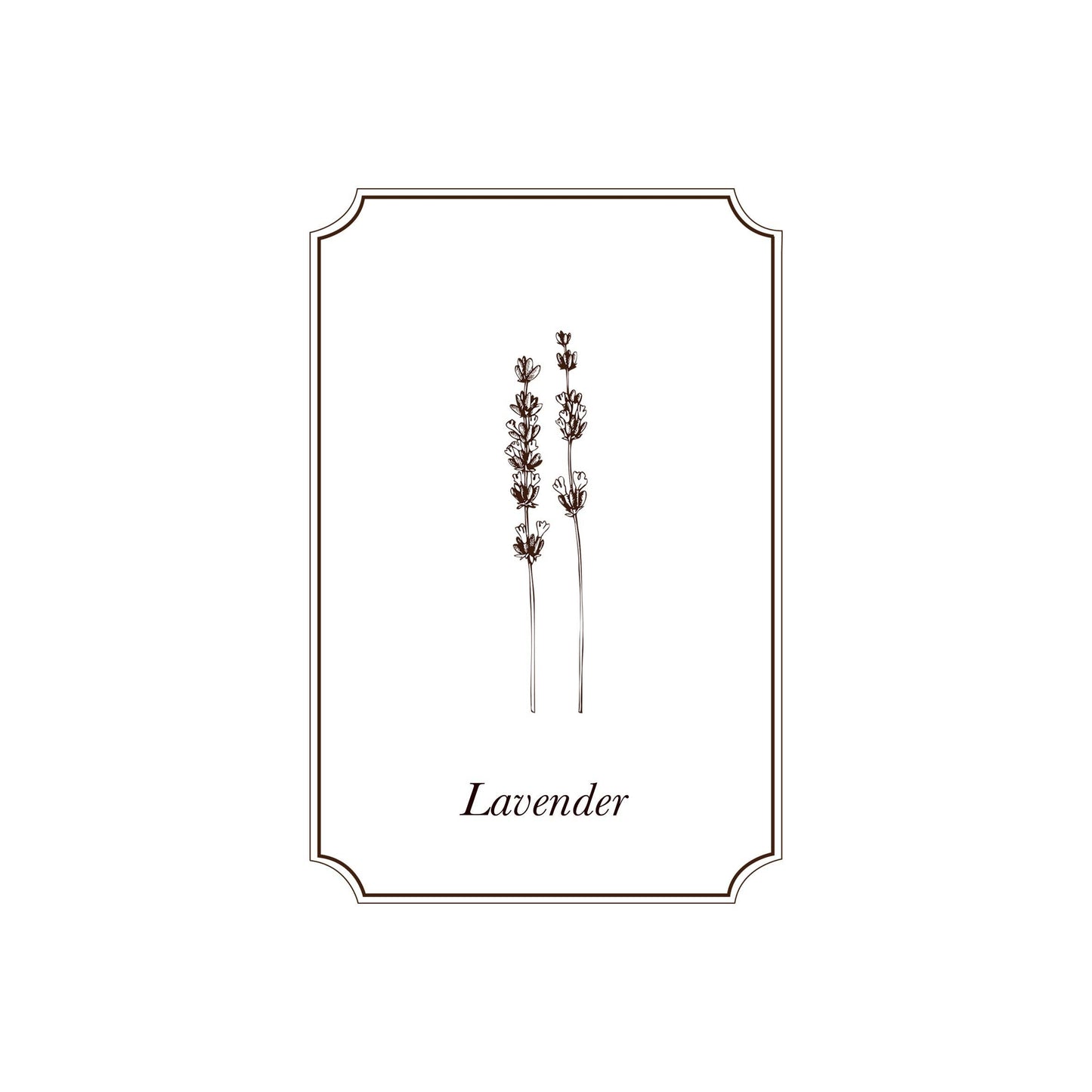 Napiers Lavender Essential Oil: 10ml
