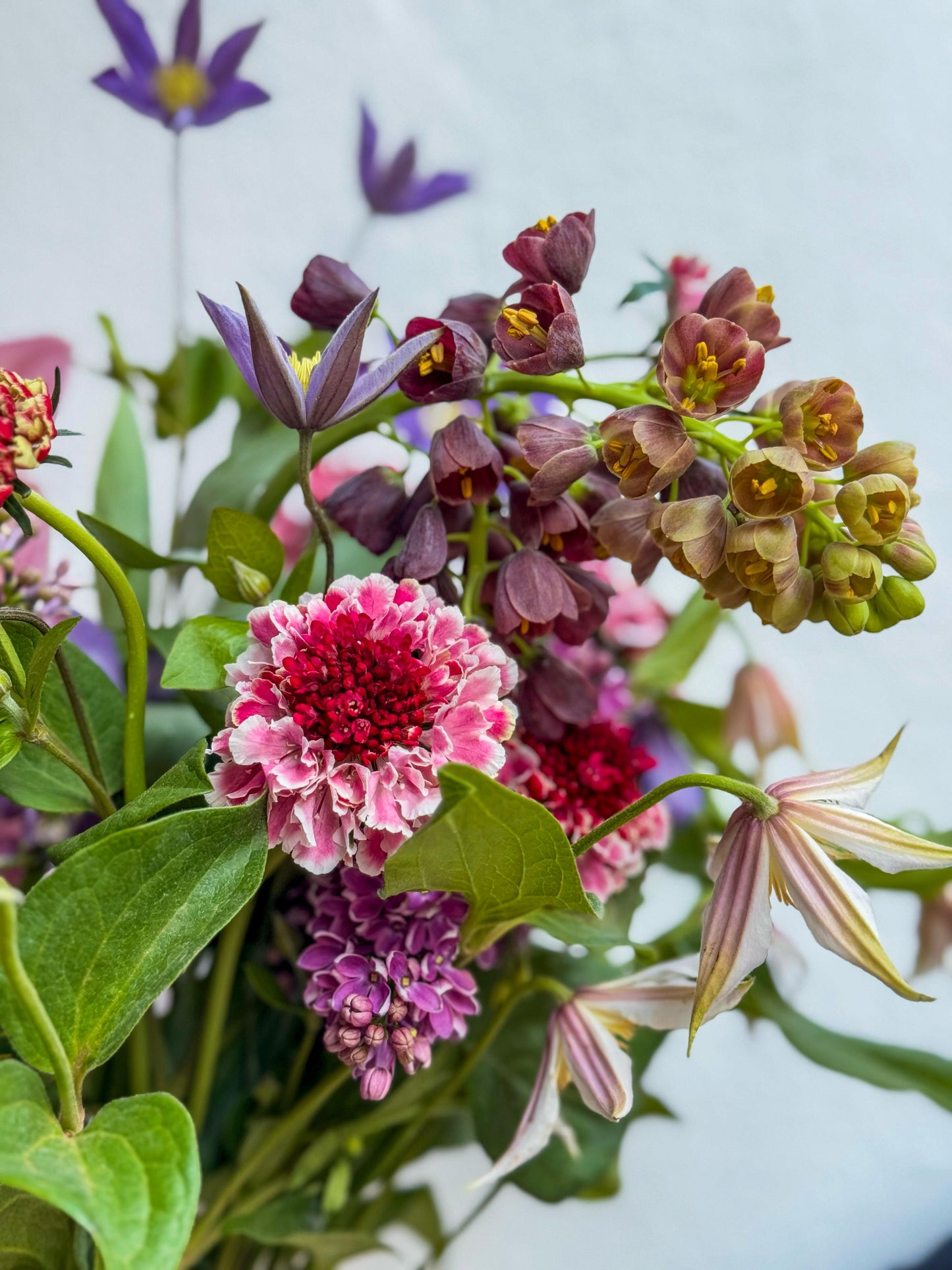 Cyril Bouquet
