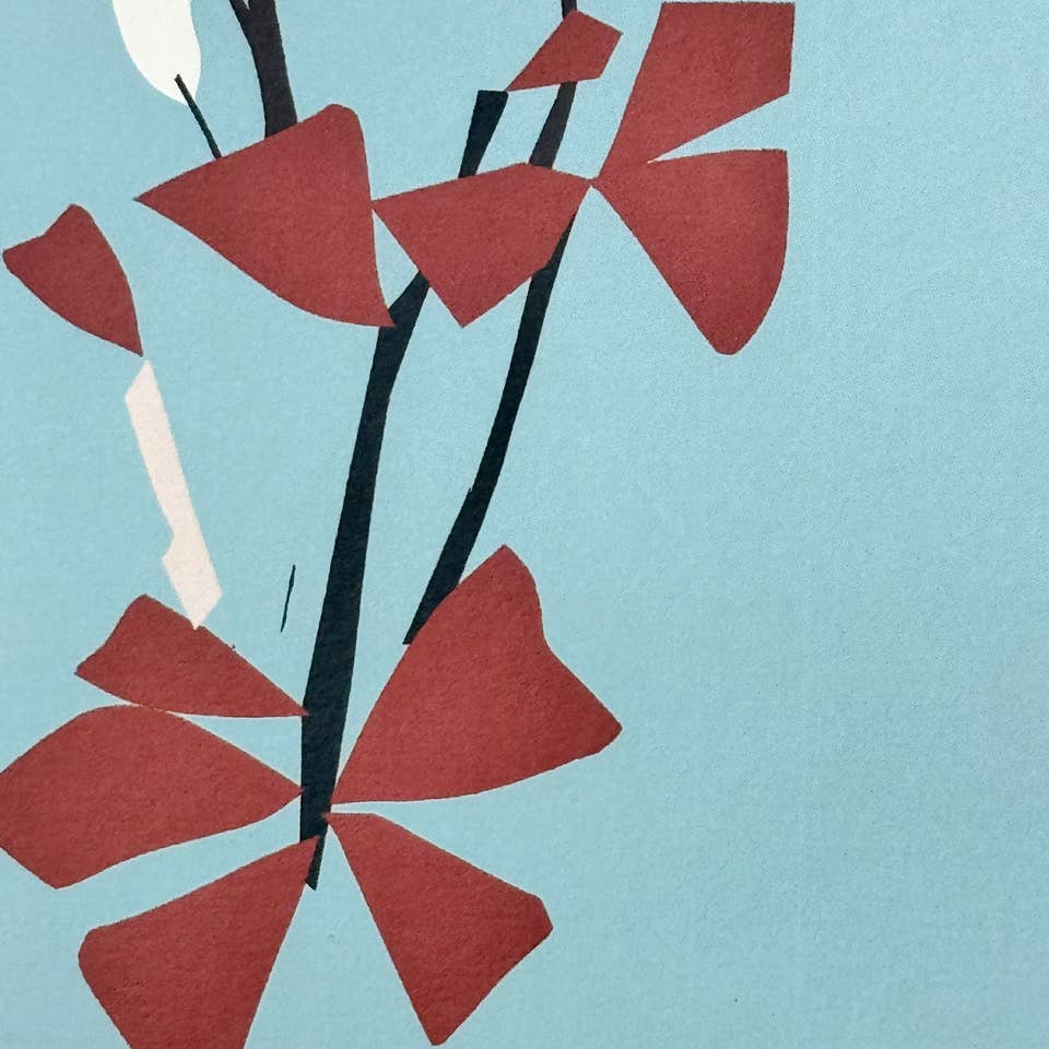 MEADOW - OXALIS