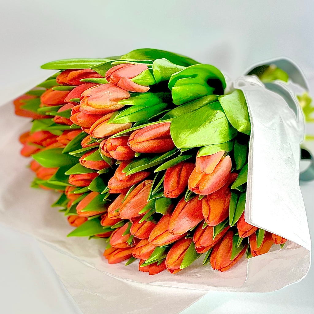 Tulips Season