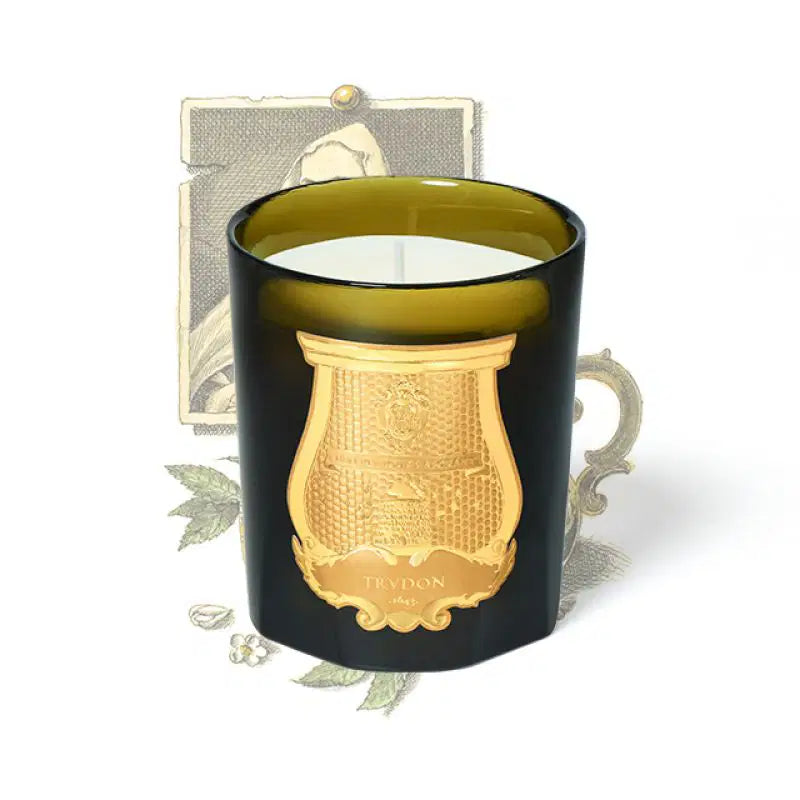 Trudon Candle - ABD EL KADER Moroccan mint Tea
