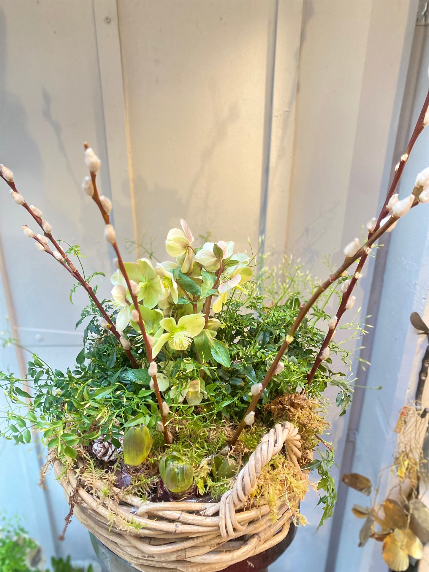 Winter garden Basket - Round -limited stock