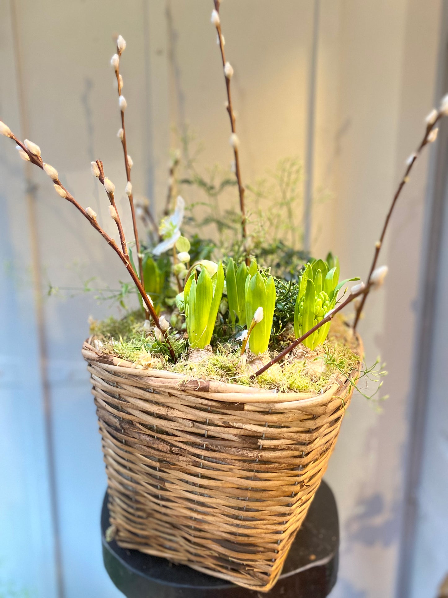 Winter garden Basket -tall - limited stock