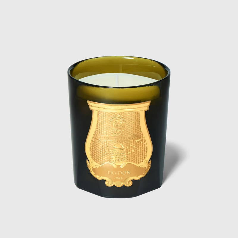 Trudon Candle - SPIRITUS SANCTI - Incense