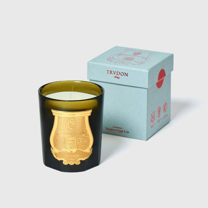 Trudon Candle - SPIRITUS SANCTI - Incense