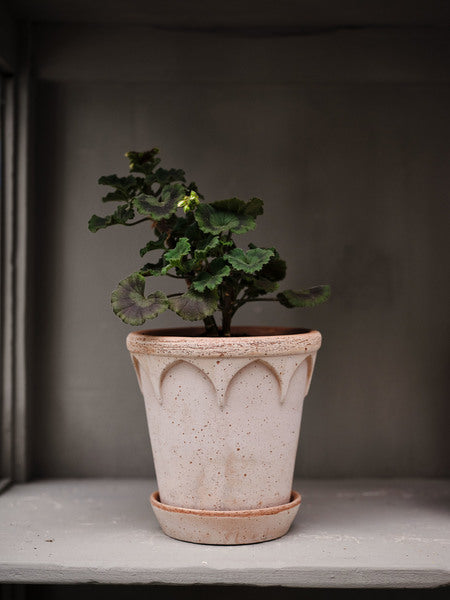 Elizabeth - raw terracotta