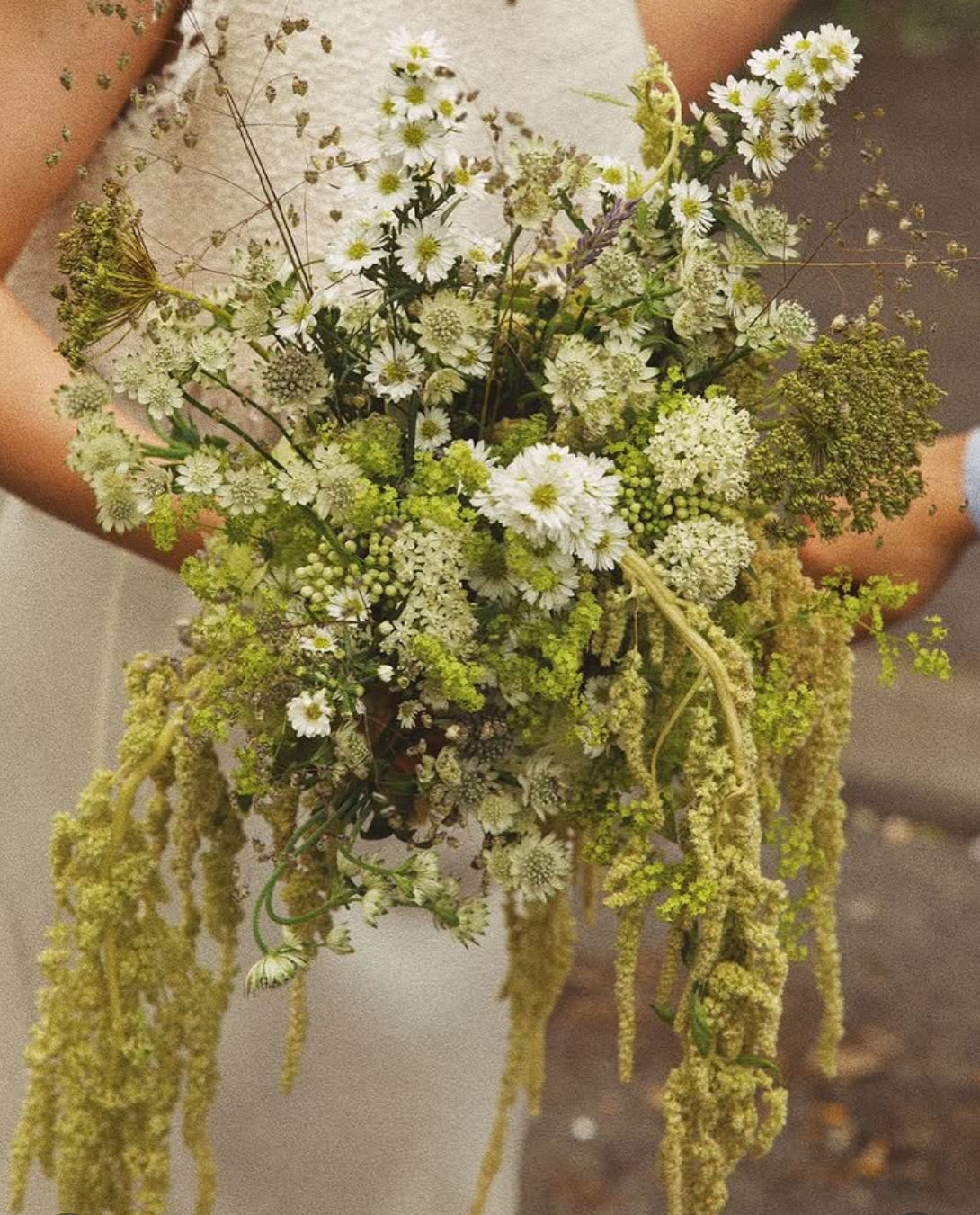 consultation for A special event