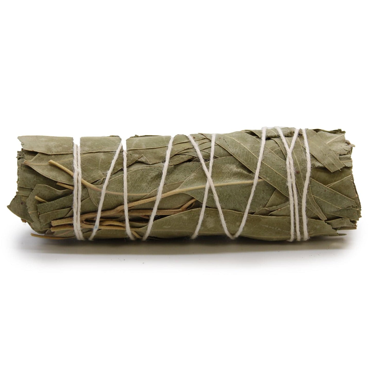 Eucalyptus and White Sage Bundle
