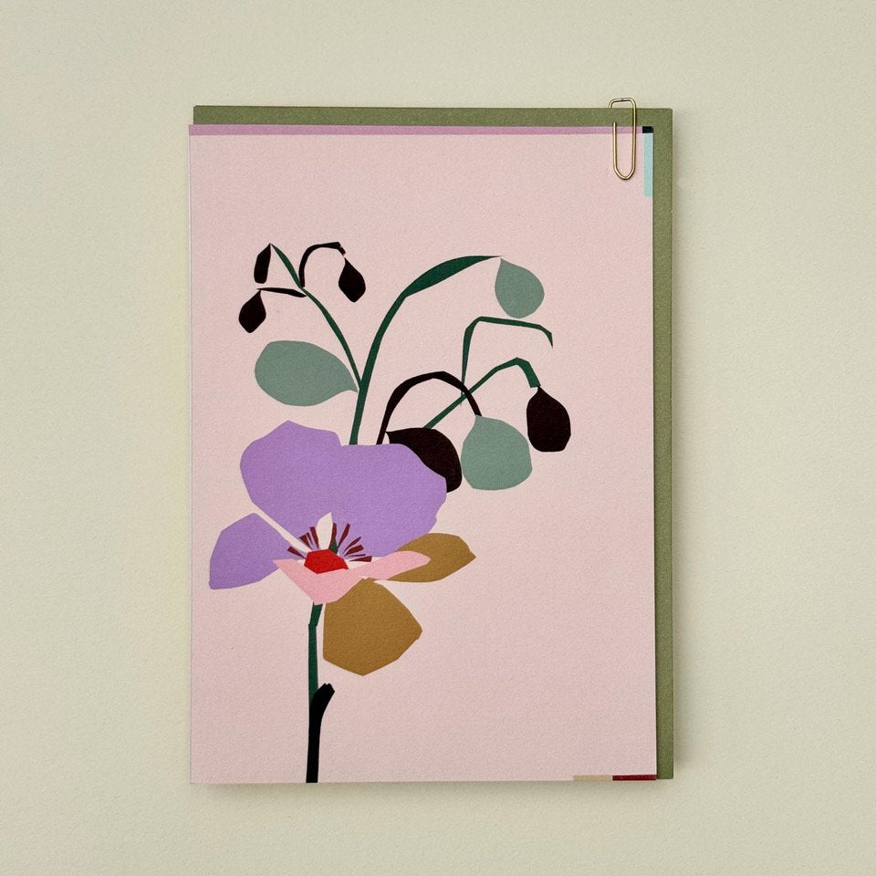 MEADOW - Poppy
