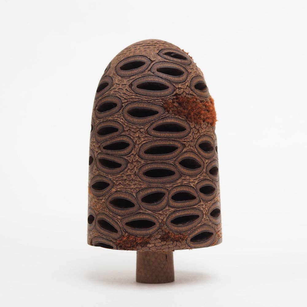 Hairy Banksia Nut - Hand made wooden table top tree ornament
