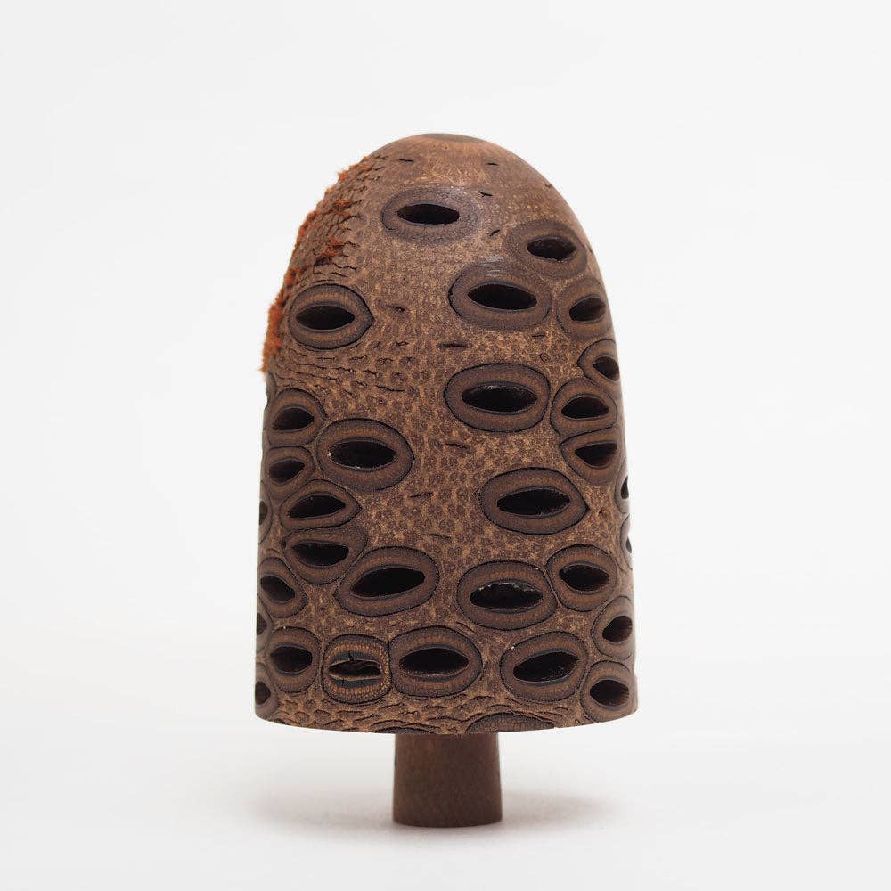 Hairy Banksia Nut - Hand made wooden table top tree ornament