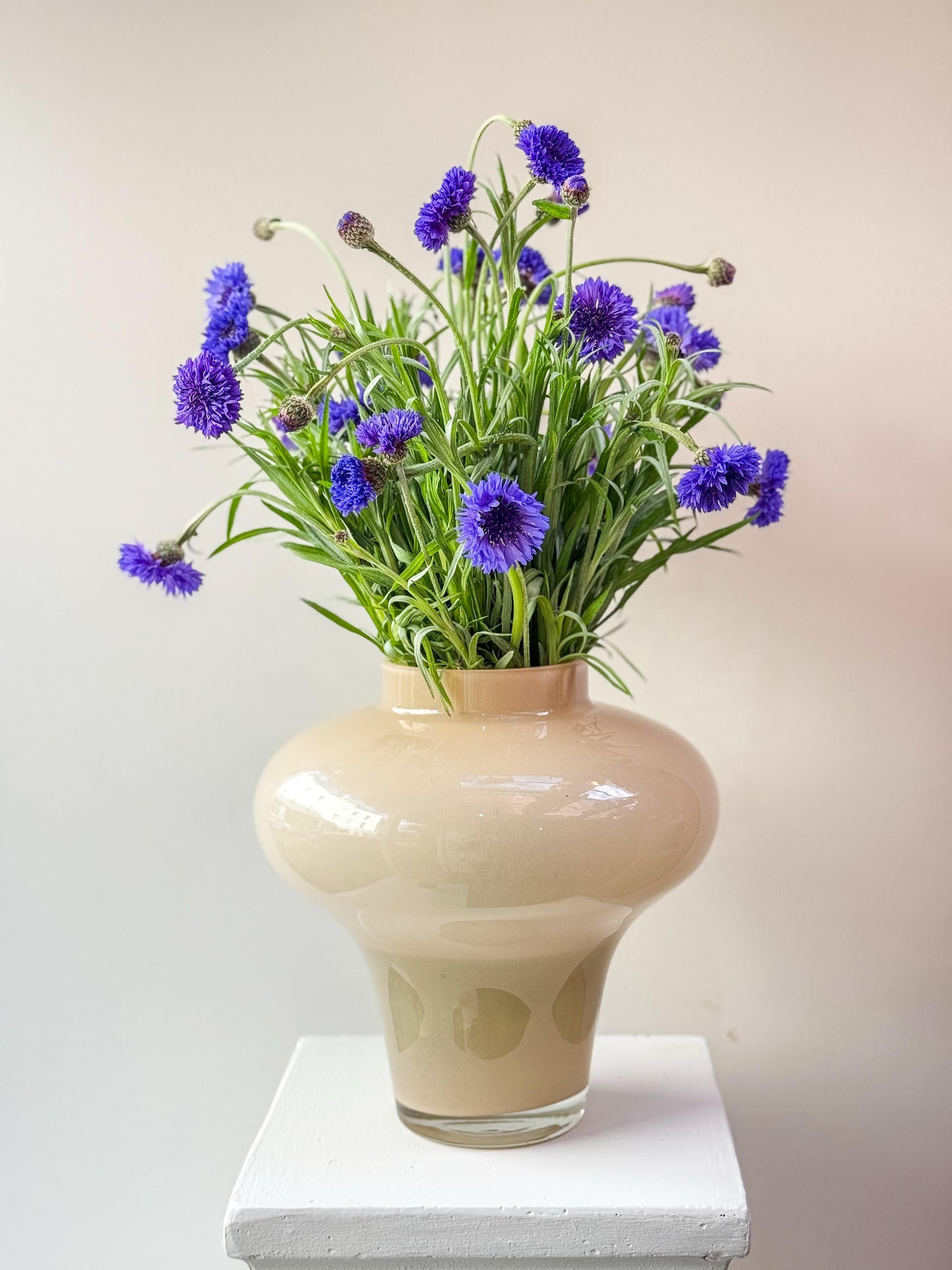 Royal blue bunch