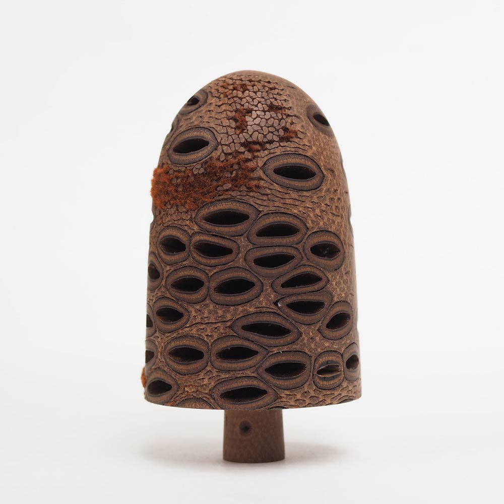 Hairy Banksia Nut - Hand made wooden table top tree ornament