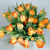 Orange Tulips (double tulips)