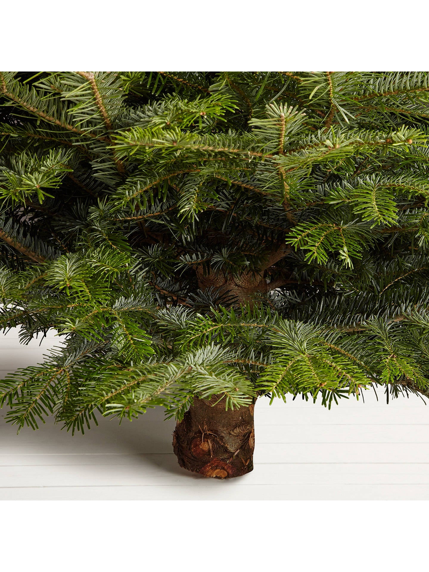 Deluxe Nordman Fir Christmas tree