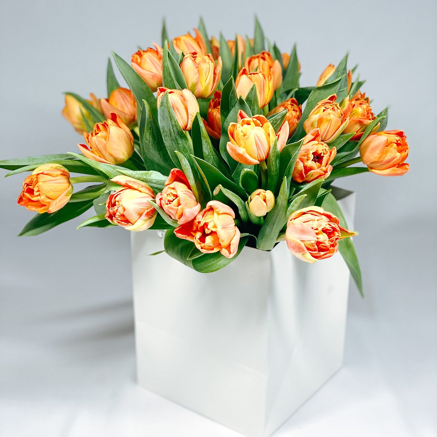 Orange Tulips (double tulips)