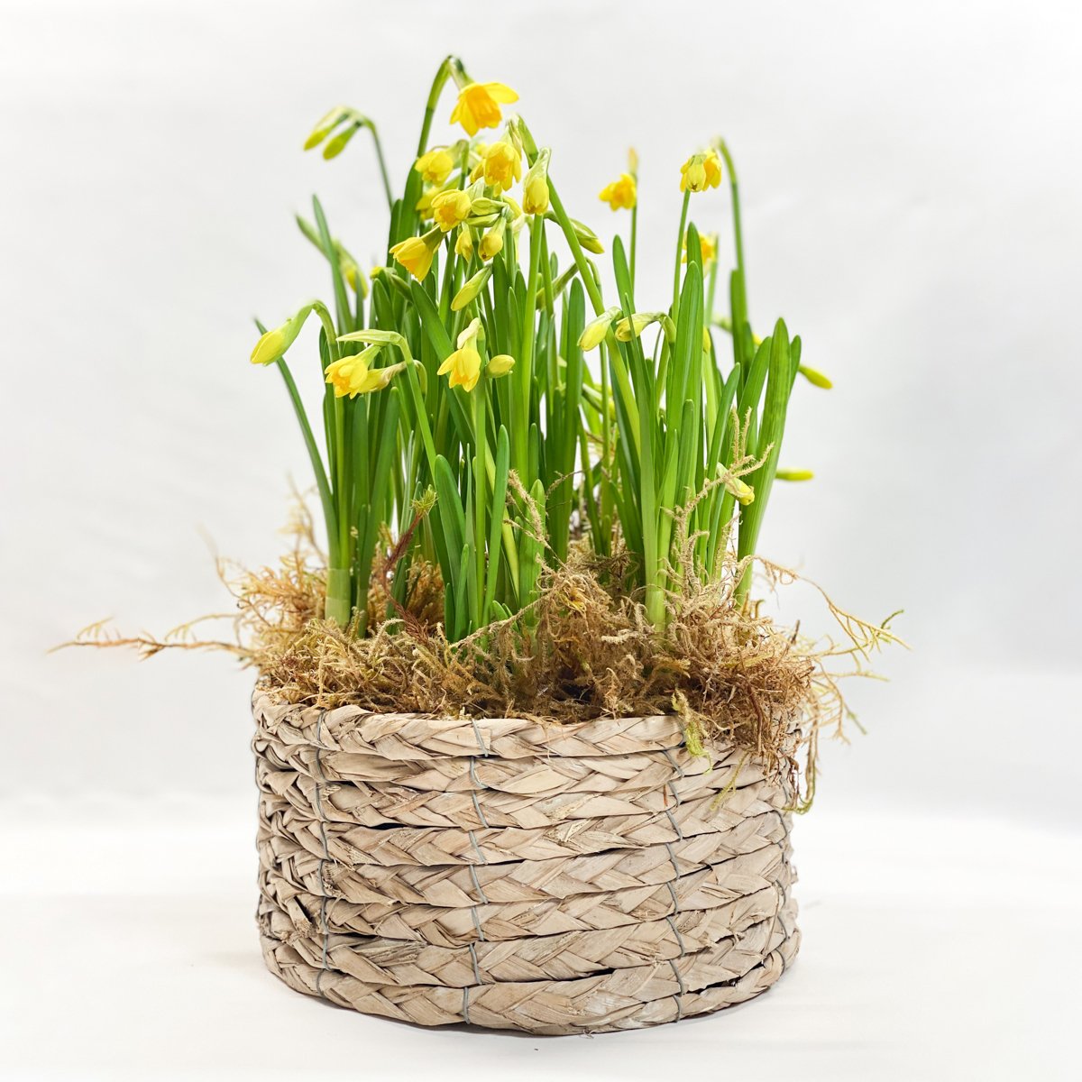 Winter Baskets- Perfect Christmas Gifts