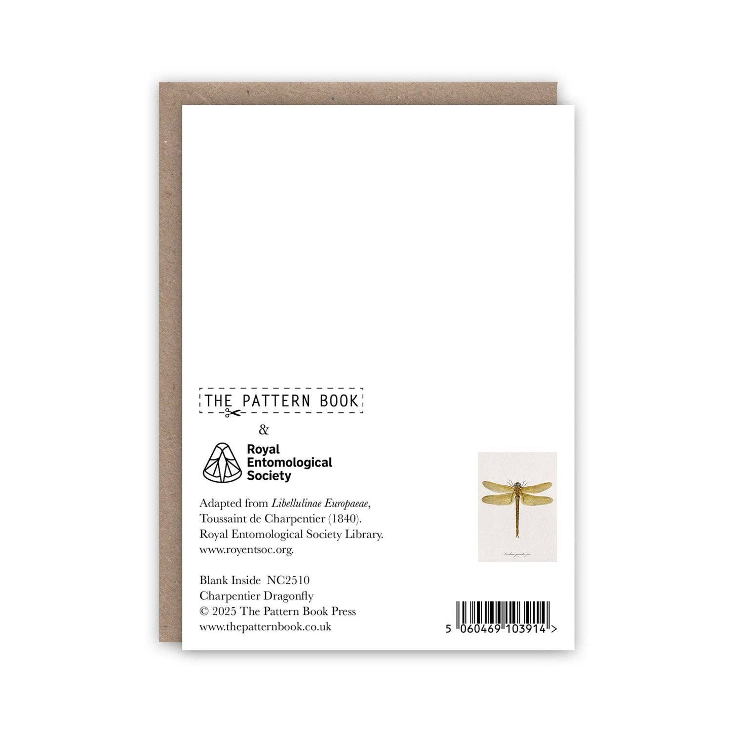 Charpentier Dragonfly Notecard Set: Compostable wrapper