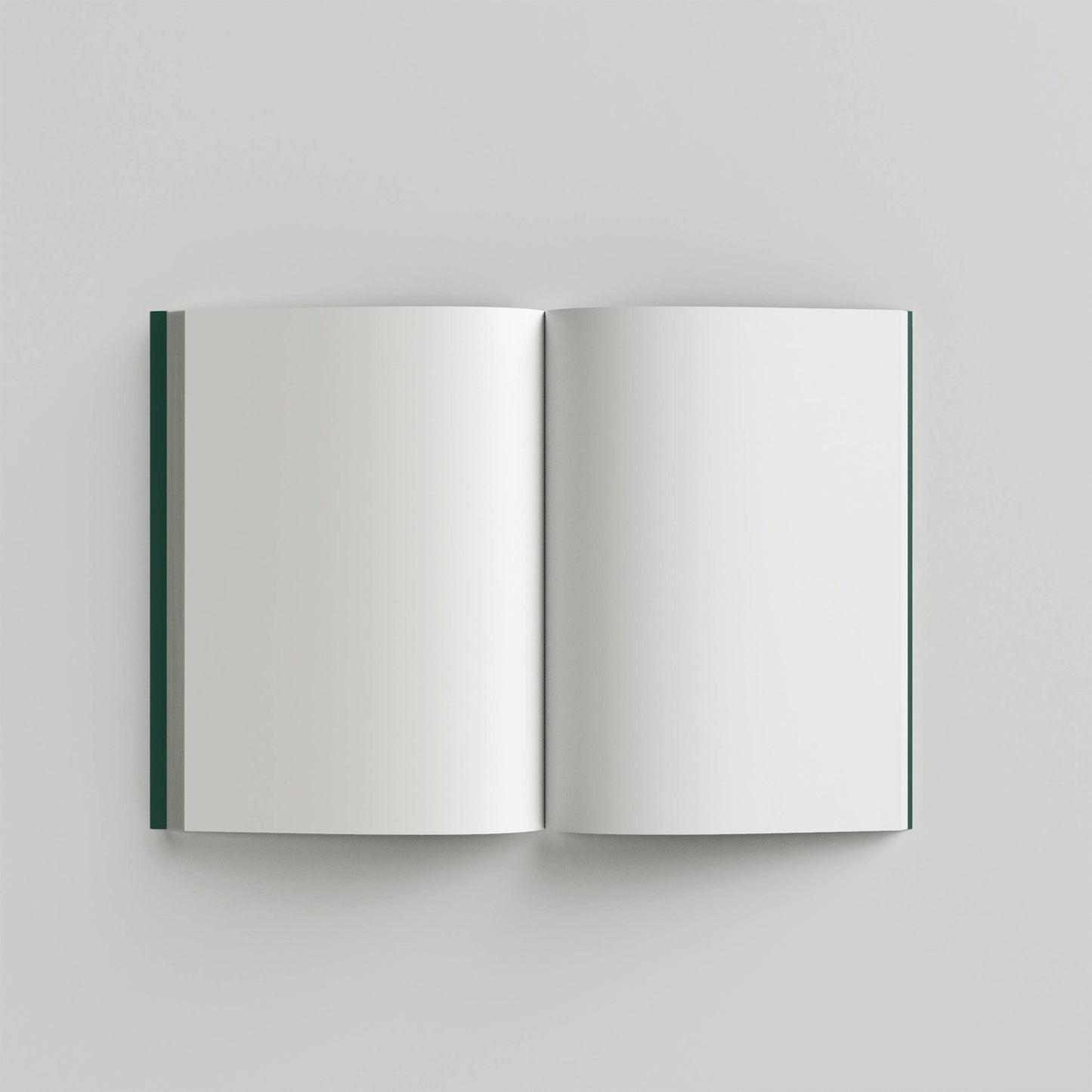 Hybrid Journal — Undated 12-Month Calendar — Grafico 6