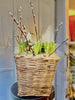 Winter garden Basket -tall   - limited stock