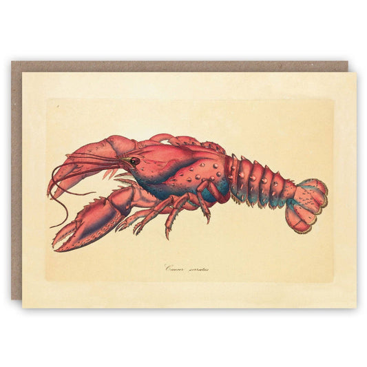 Lobster