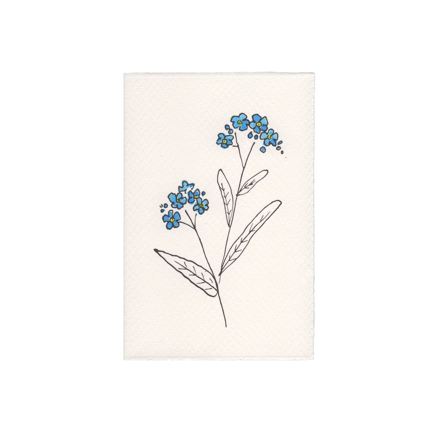 Forget Me Not Card