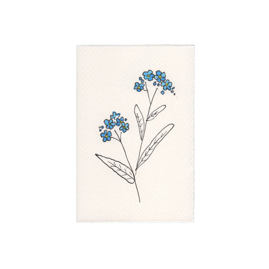 Forget Me Not Card