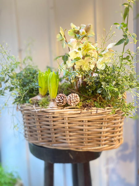 Winter garden Basket -Oval  - limited stock