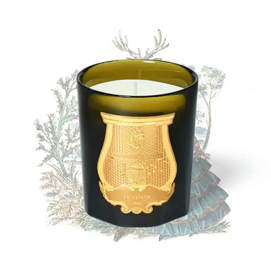 Trudon Candle - BALMORAL  - Mist soil and Meadows