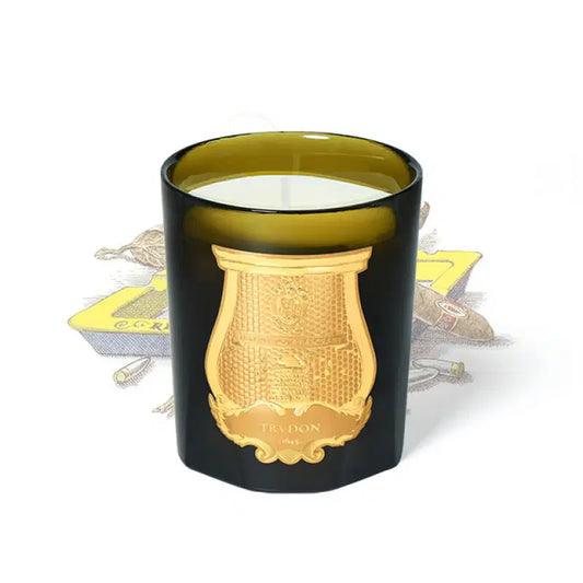 Trudon Candle - ERNESTO - Leather and Tobacco