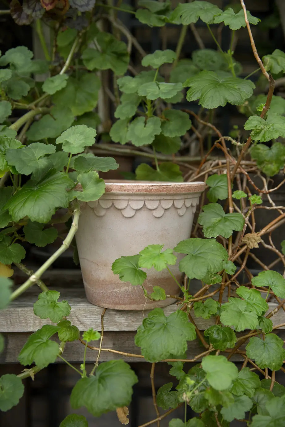 Copenhagen 18cm raw terracotta