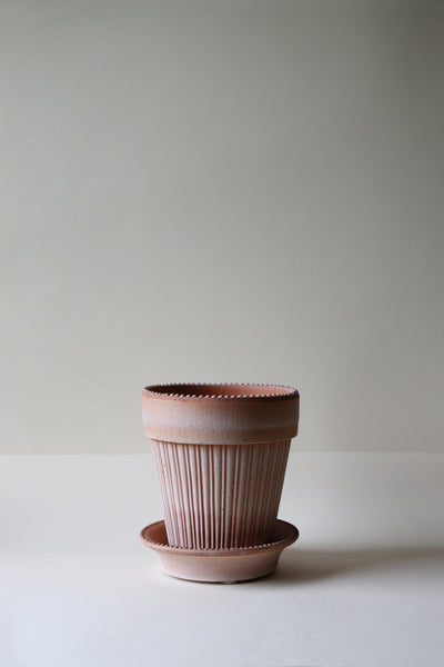 Simona - Bergs Pot Classic