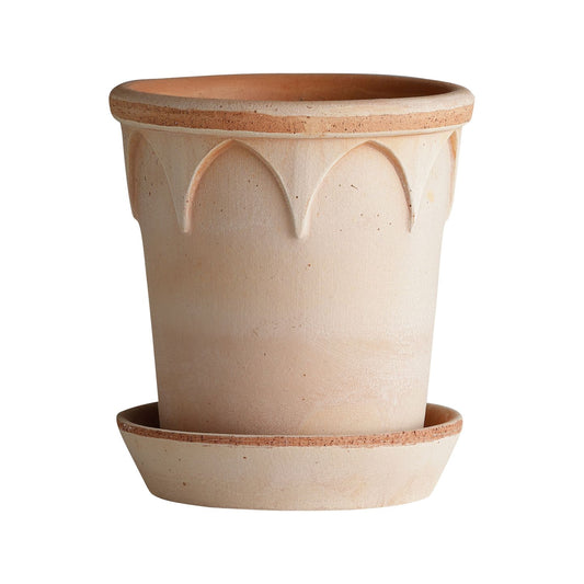 Elizabeth  -  raw terracotta