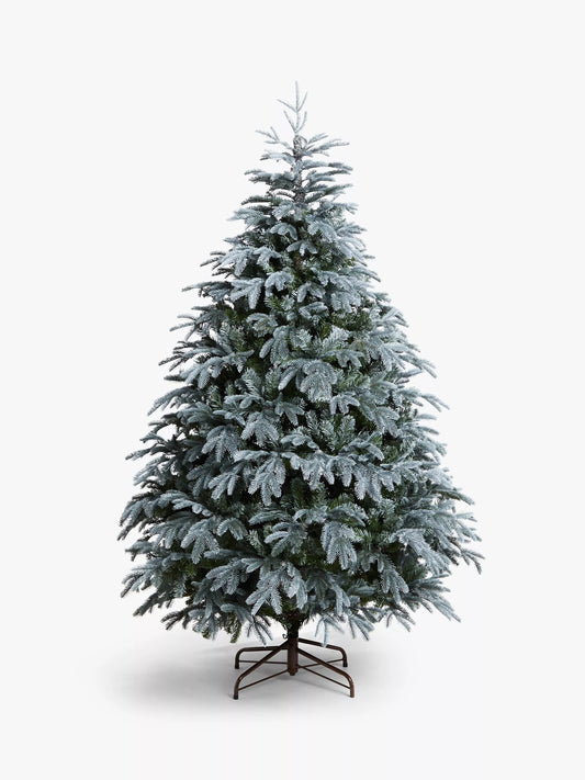 Premium Cut Blue Spruce