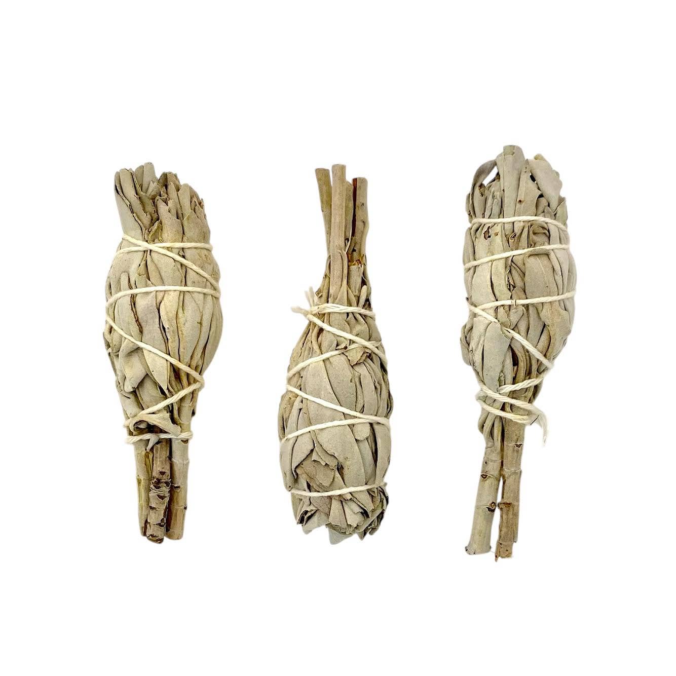 White Sage Torches