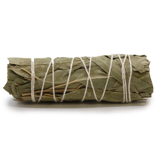 Eucalyptus and White Sage Bundle