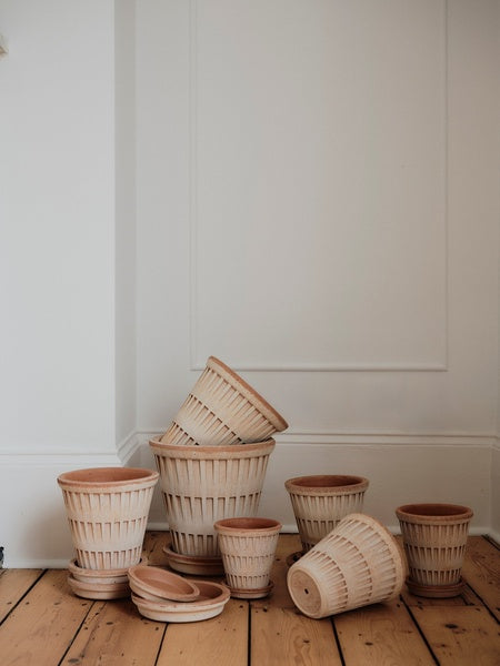 Pantheon - Bergs Pot the New Classic