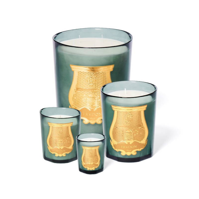 Trudon Candle - FIGUERIE -Royal Fig, in the shade of the greenhouses