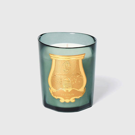 Trudon Candle - FIGUERIE -Royal Fig, in the shade of the greenhouses