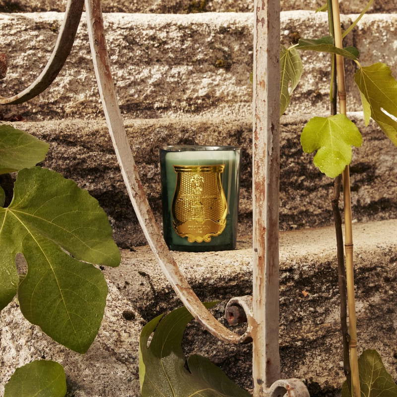 Trudon Candle - FIGUERIE -Royal Fig, in the shade of the greenhouses