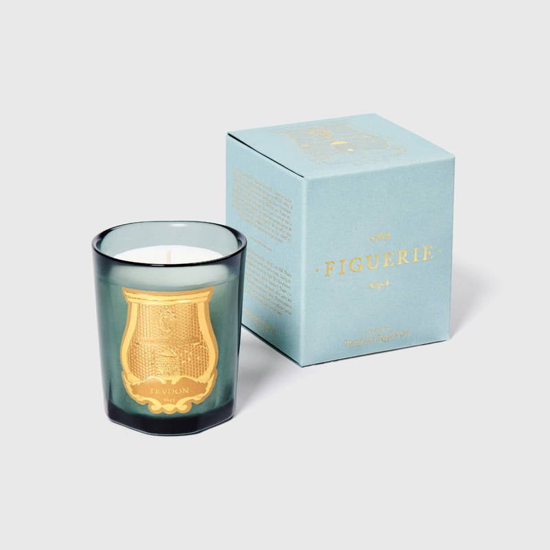 Trudon Candle - FIGUERIE -Royal Fig, in the shade of the greenhouses