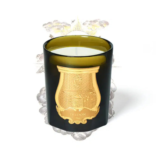 Trudon Candle - SPIRITUS SANCTI  - Incense