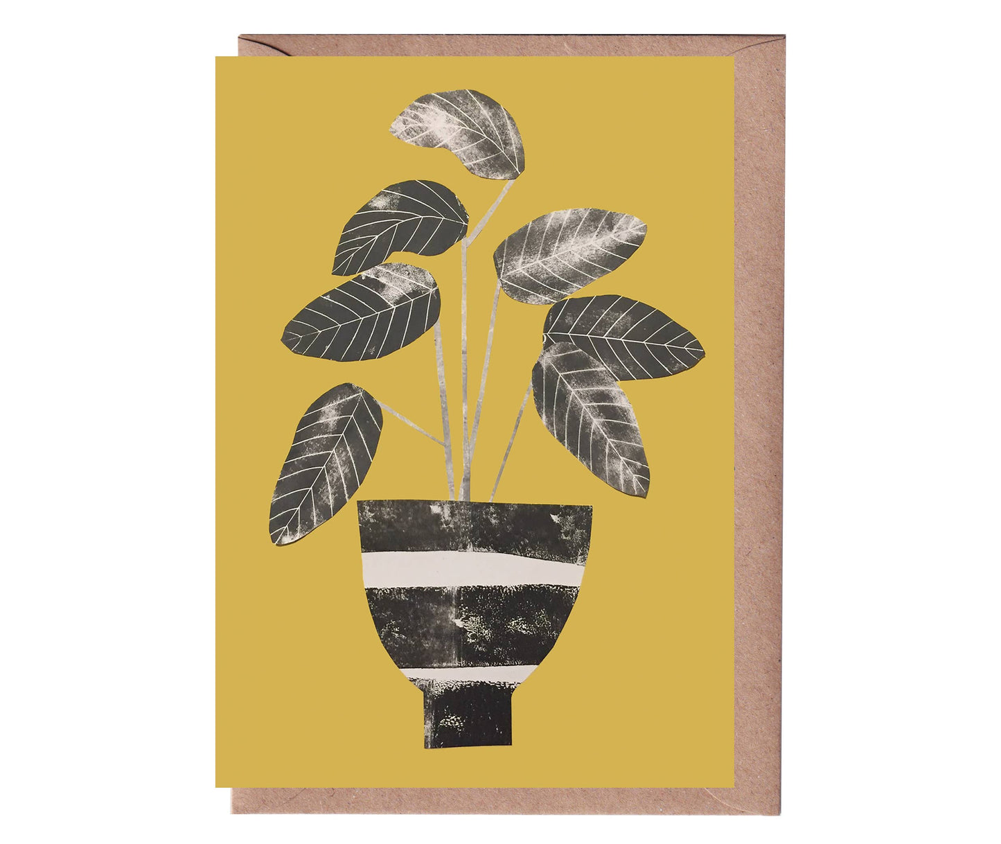 Calathea Greeting Card