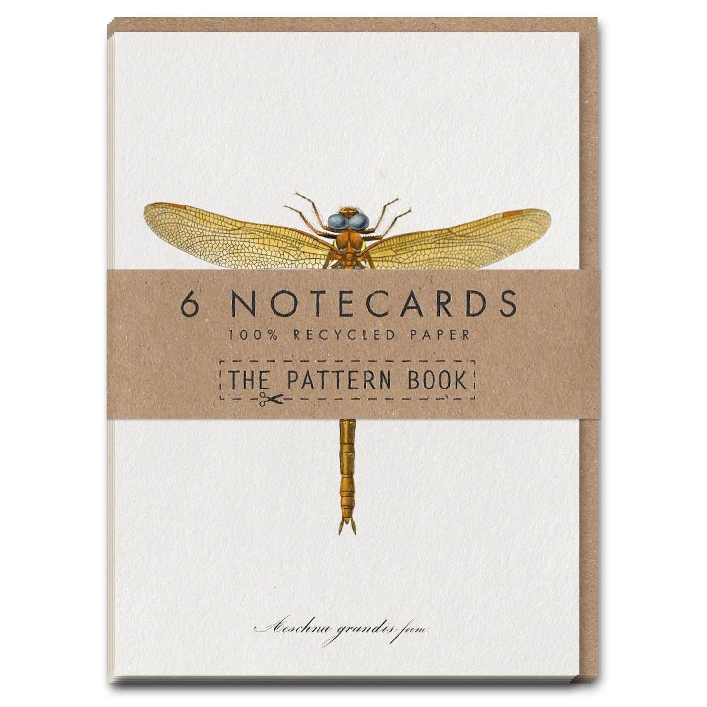 Charpentier Dragonfly Notecard Set: Compostable wrapper