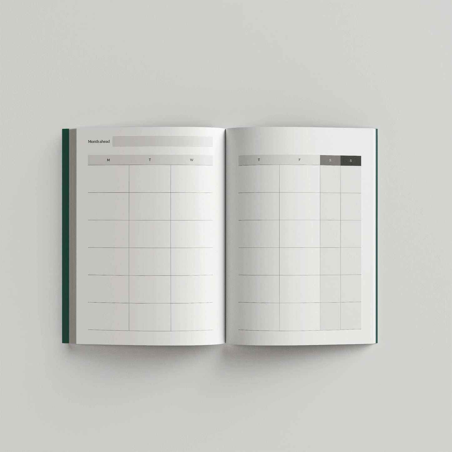 Hybrid Journal — Undated 12-Month Calendar — Grafico 6