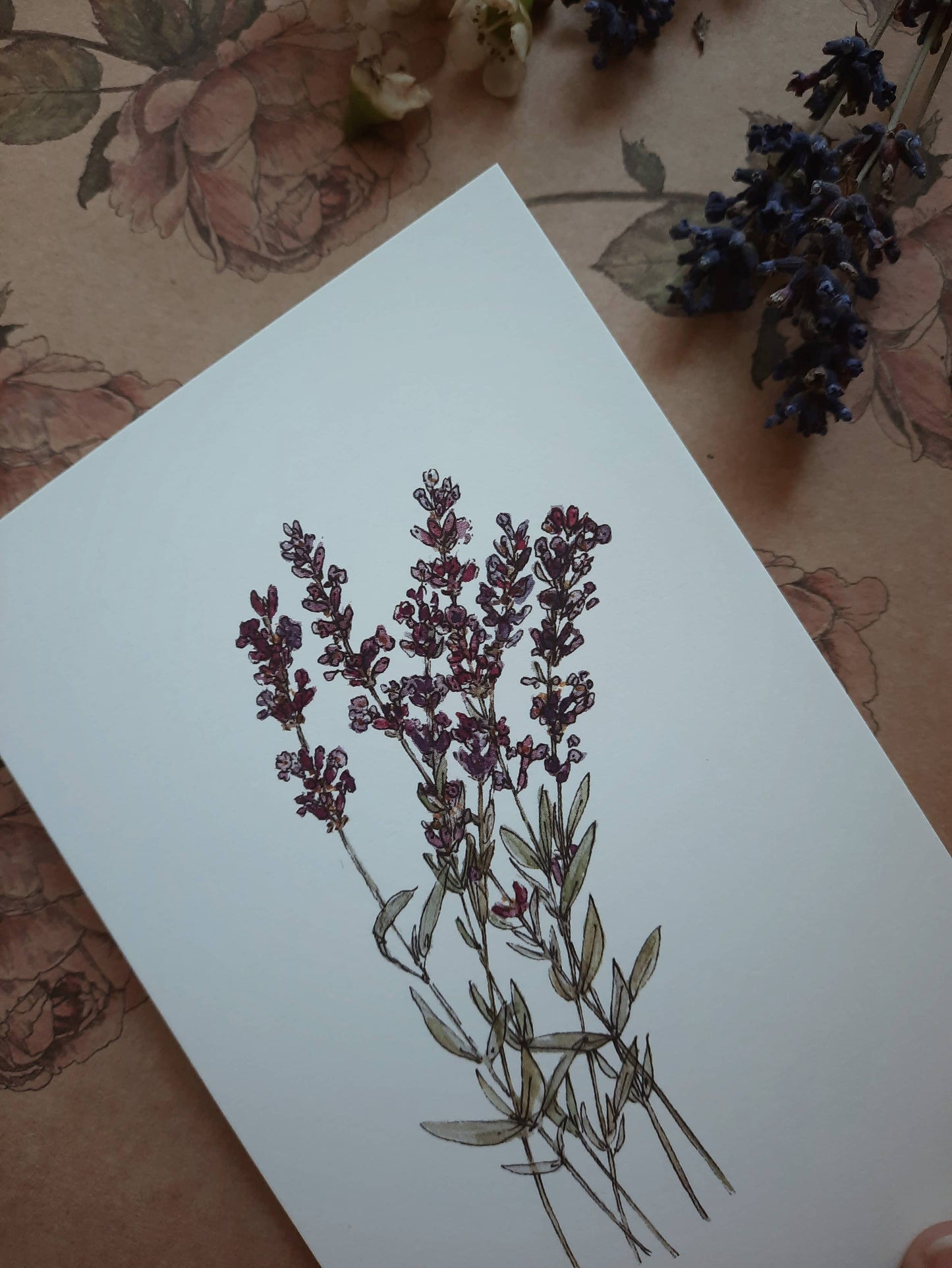 Lavender Card Folded Card