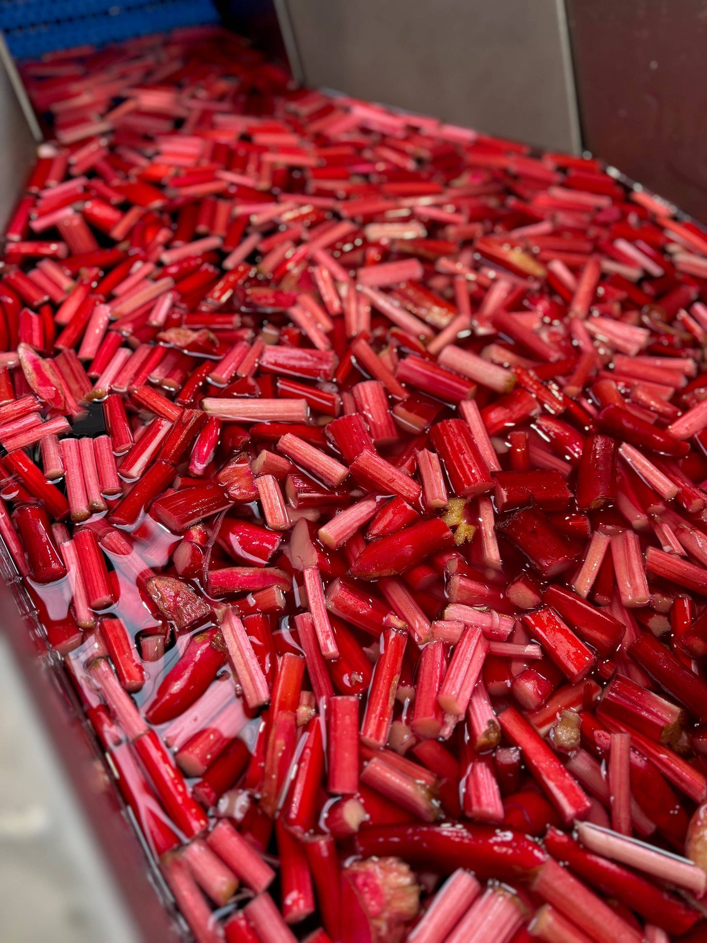 *Limited Edition* - Rhubarb Soda