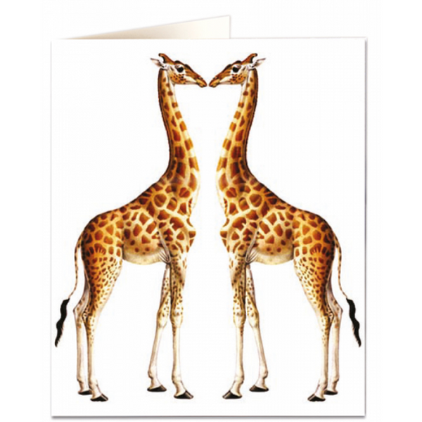 Giraffe - Natural History Museum
